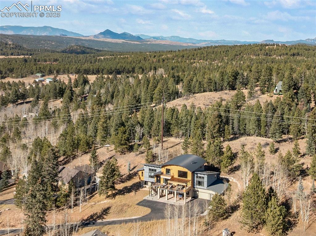 449 Oxford Lane Woodland Park CO 80863