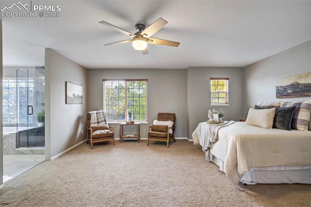 3140 River Valley View Colorado Springs CO 80922