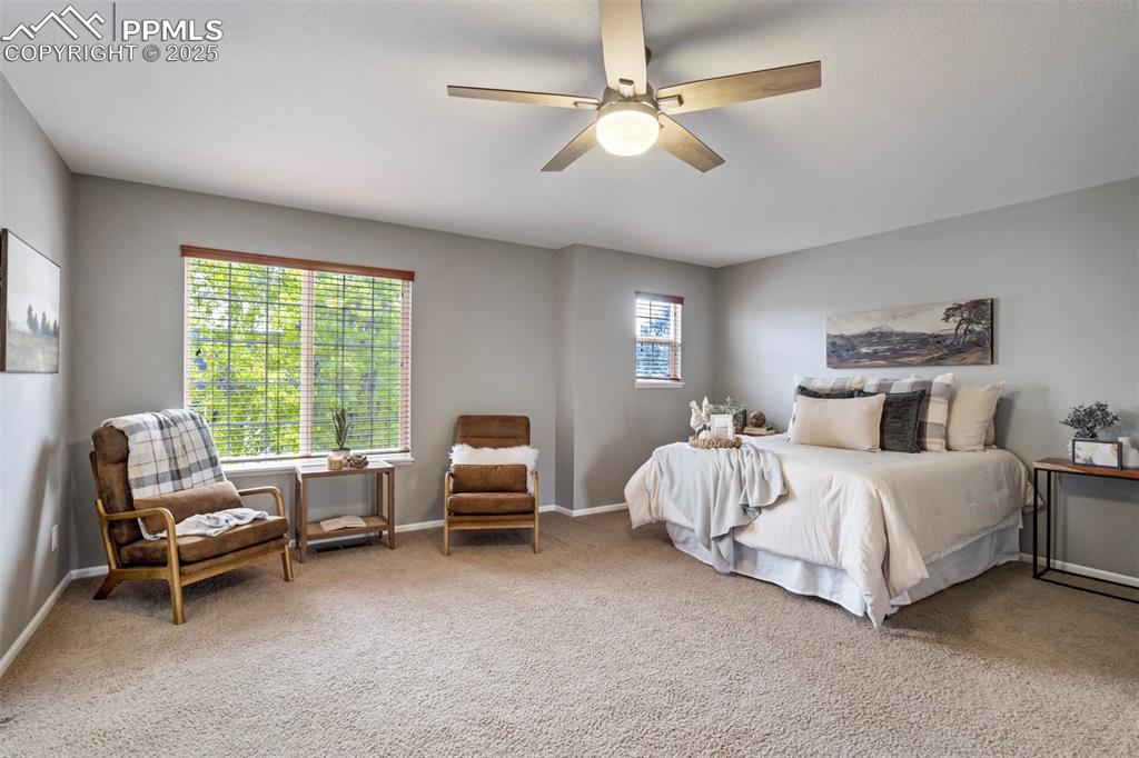 3140 River Valley View Colorado Springs CO 80922