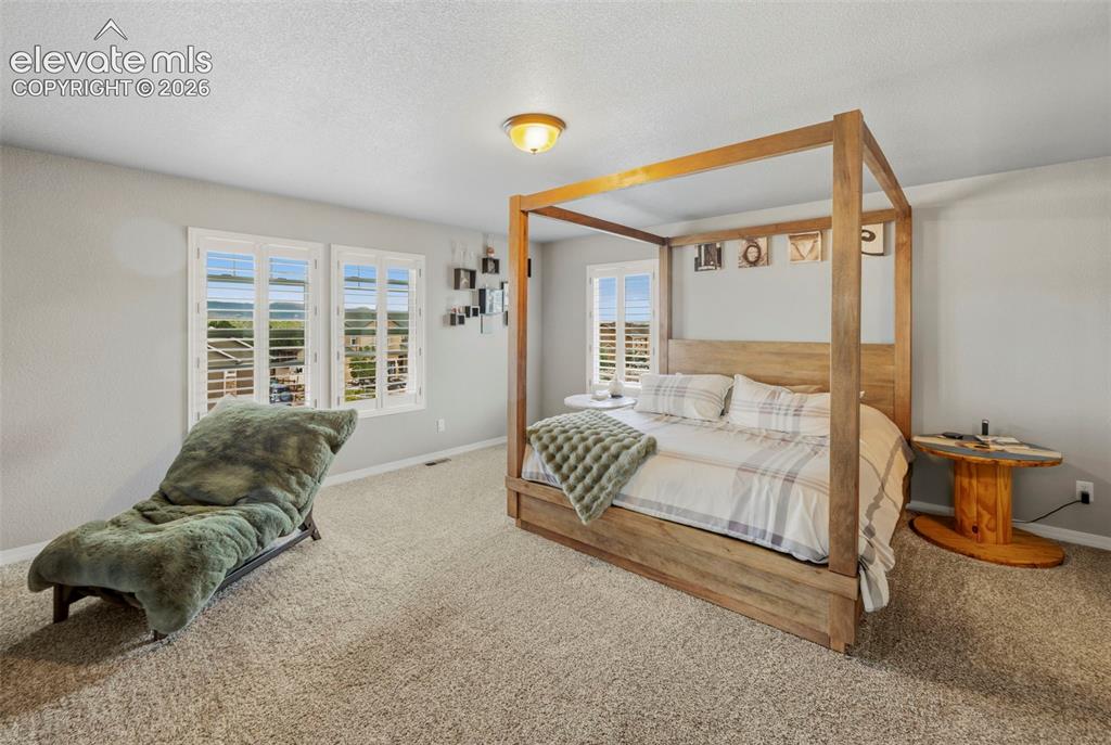 19915 Alexandria Drive Monument CO 80132