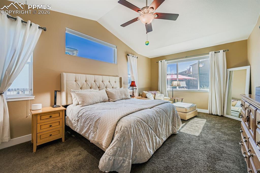7197 Silver Buckle Drive Colorado Springs CO 80923