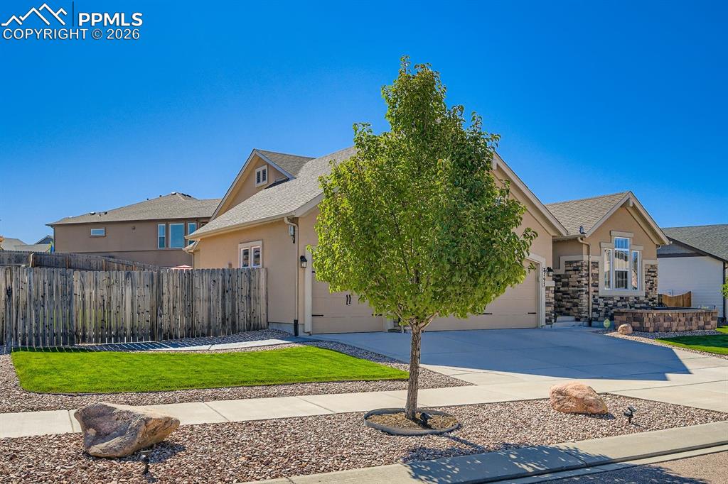7197 Silver Buckle Drive Colorado Springs CO 80923