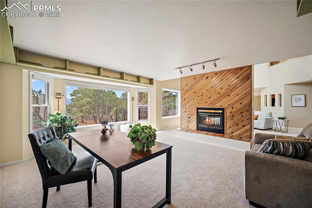 1669 Woodstone Way Monument CO 80132