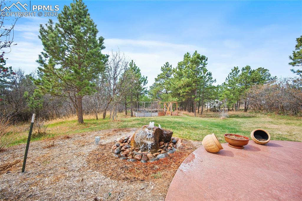 1669 Woodstone Way Monument CO 80132