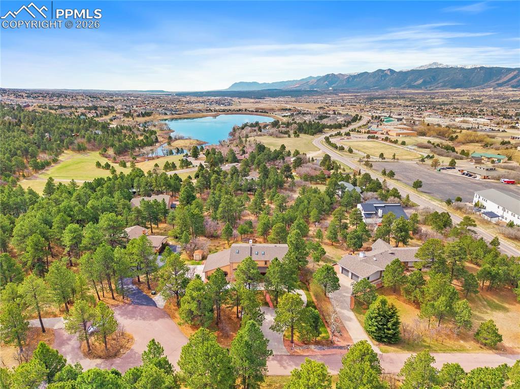 1669 Woodstone Way Monument CO 80132