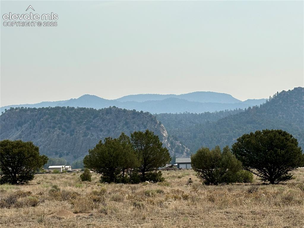 10795 County Road 197a Nathrop CO 81236