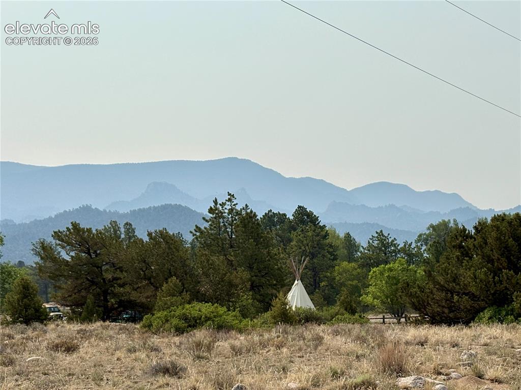 10795 County Road 197a Nathrop CO 81236