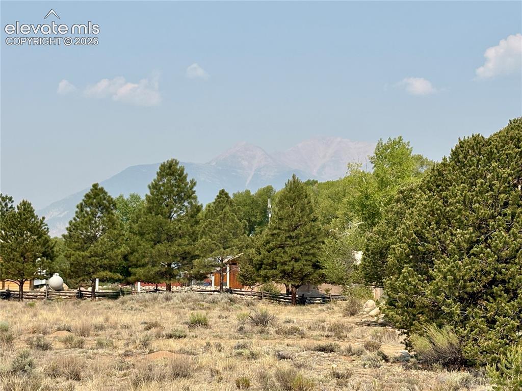 10795 County Road 197a Nathrop CO 81236