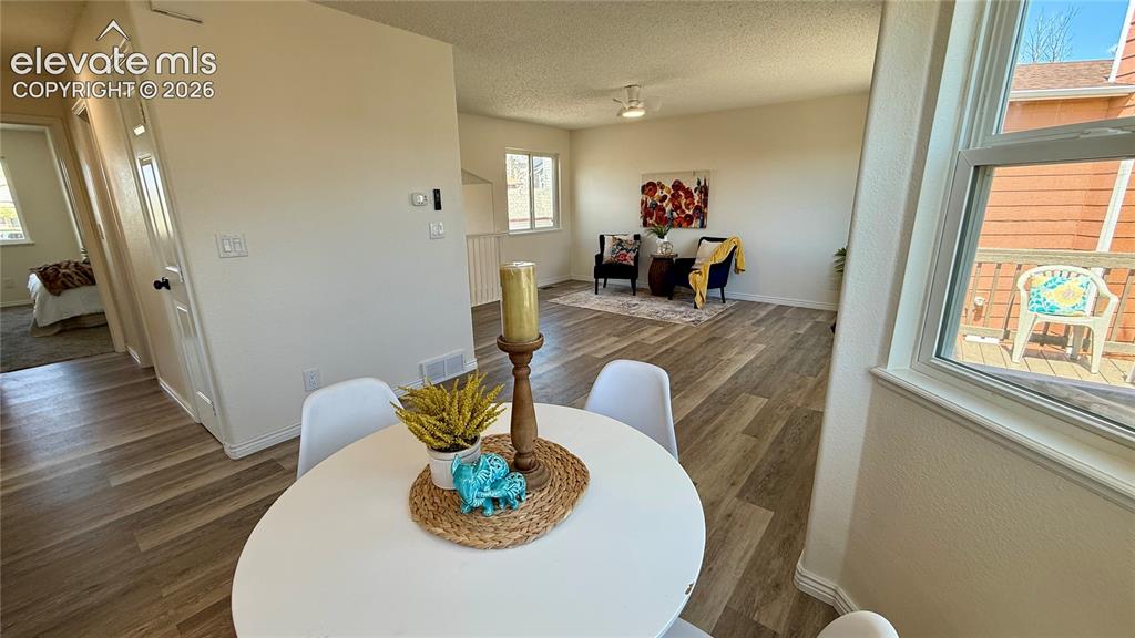 6230 Dry Gulch Court Colorado Springs CO 80922