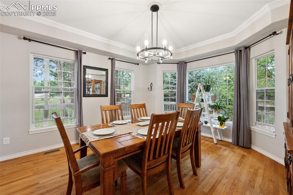 15595 Falcon Ridge Court Colorado Springs CO 80921