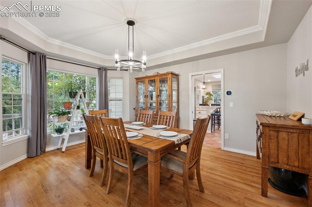 15595 Falcon Ridge Court Colorado Springs CO 80921