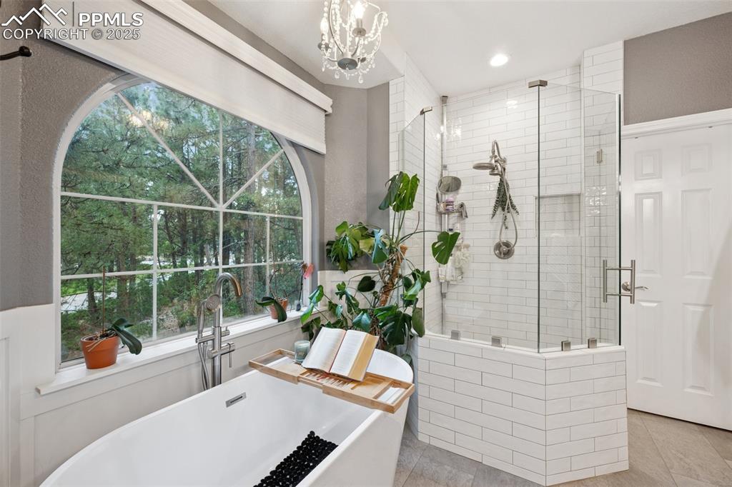 15595 Falcon Ridge Court Colorado Springs CO 80921