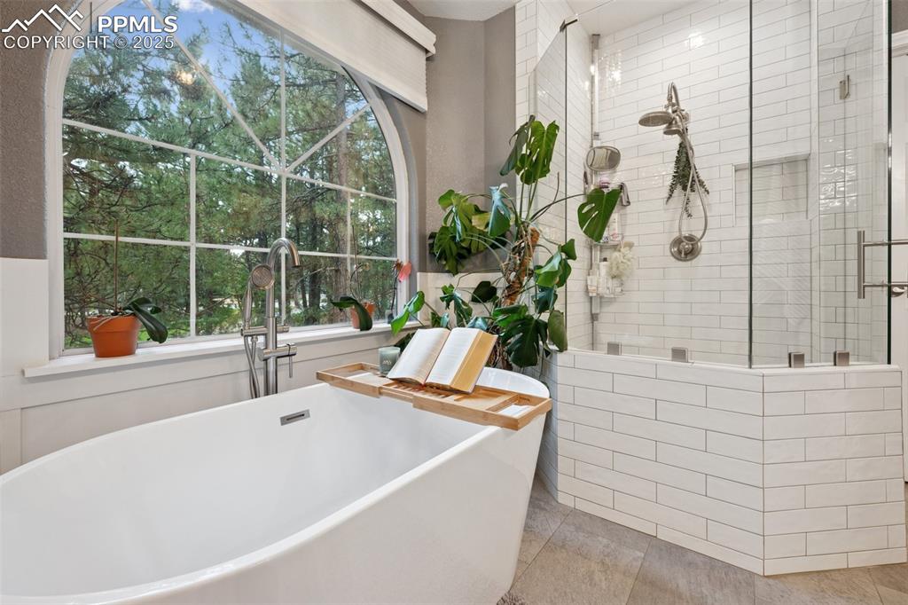 15595 Falcon Ridge Court Colorado Springs CO 80921