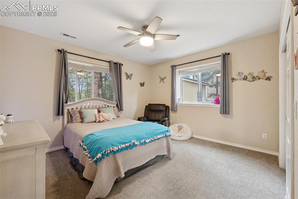 15595 Falcon Ridge Court Colorado Springs CO 80921