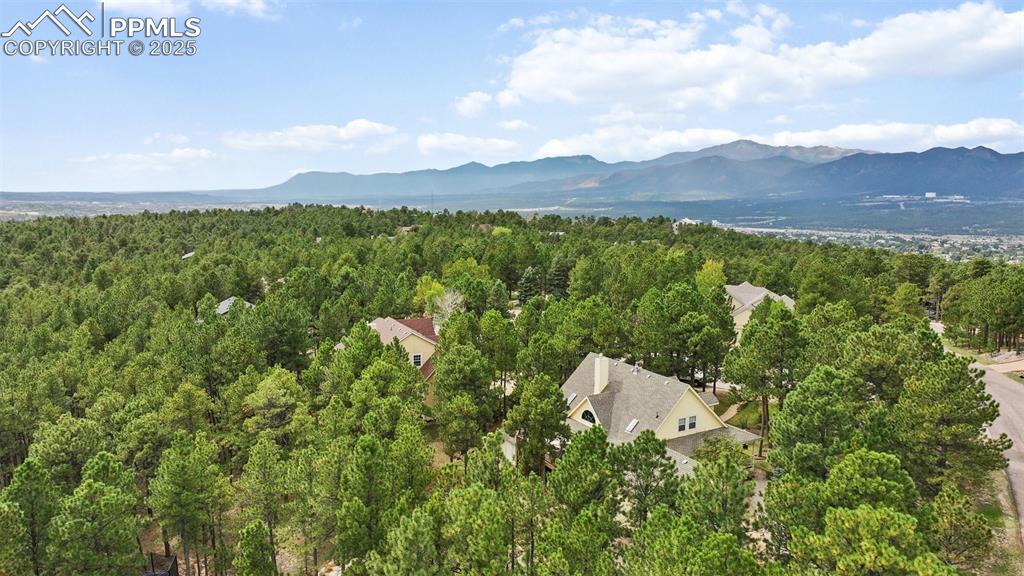 15595 Falcon Ridge Court Colorado Springs CO 80921