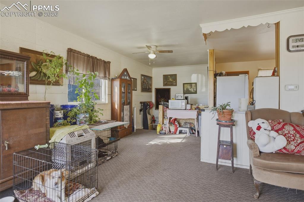 2301 Frontier Drive Colorado Springs CO 80911