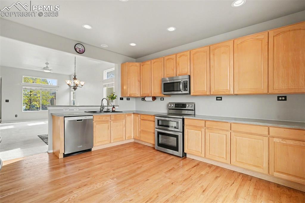 9375 Wolf Pack Terrace Colorado Springs CO 80920