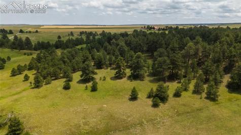 11771 E Smith Road Elbert CO 80106