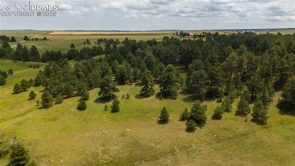 11771 E Smith Road Elbert CO 80106