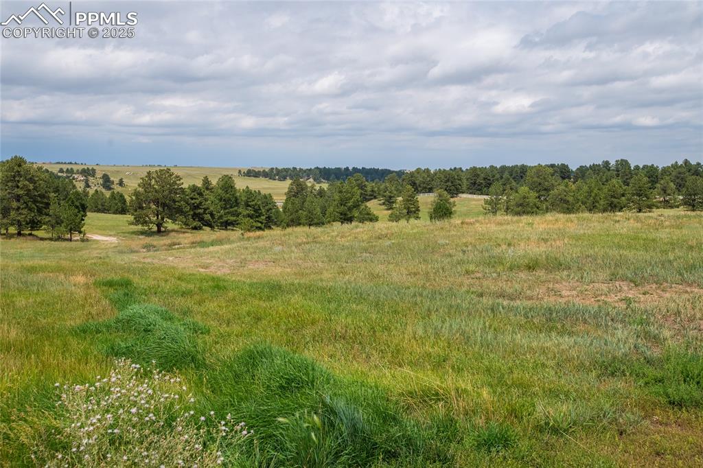 11771 E Smith Road Elbert CO 80106