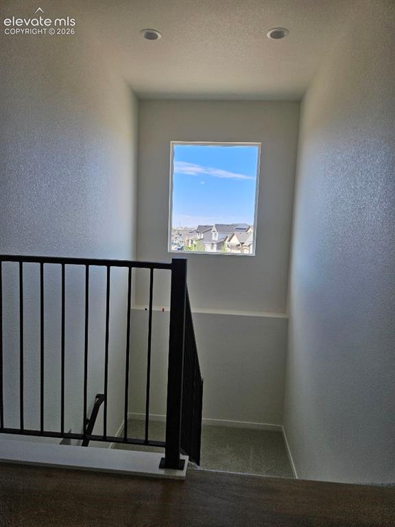 8663 Noreen Falls Drive Colorado Springs CO 80924