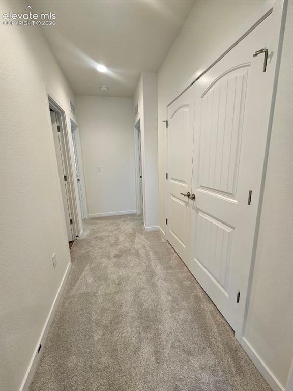 8663 Noreen Falls Drive Colorado Springs CO 80924