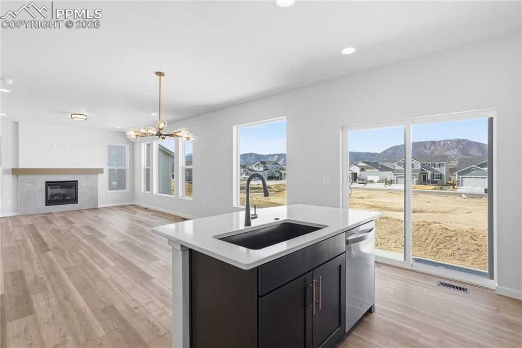 17570 Cerberus Court Monument CO 80132