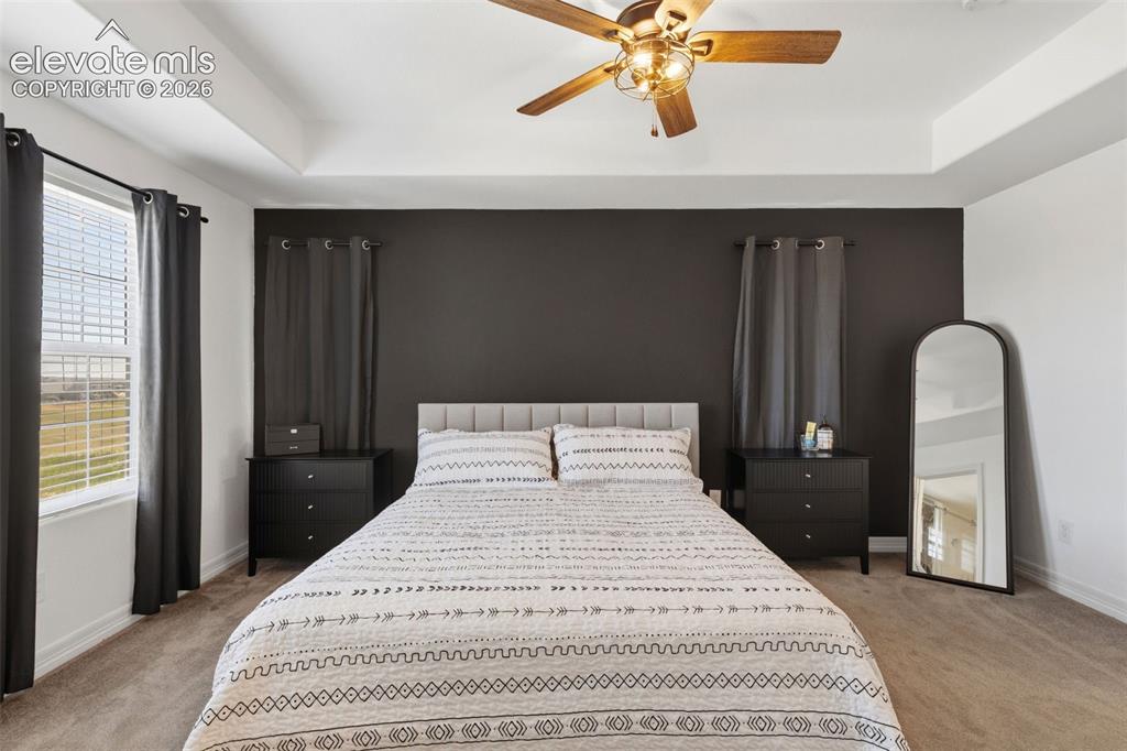 6667 Cottonwood Tree Drive Colorado Springs CO 80927