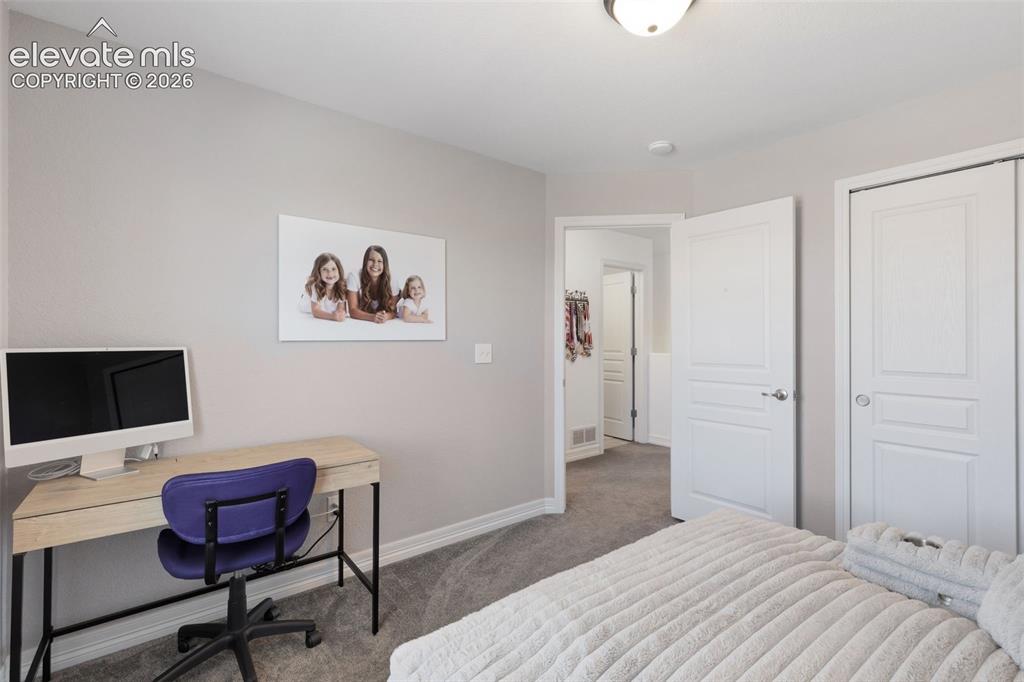 6667 Cottonwood Tree Drive Colorado Springs CO 80927