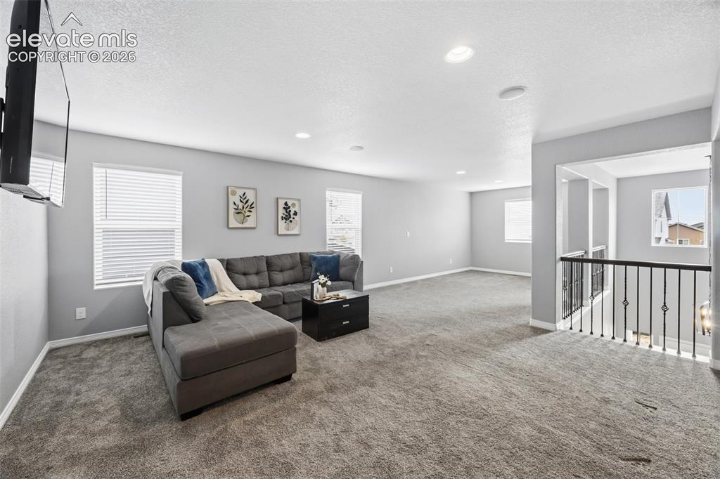 9632 Emerald Vista Drive Peyton CO 80831