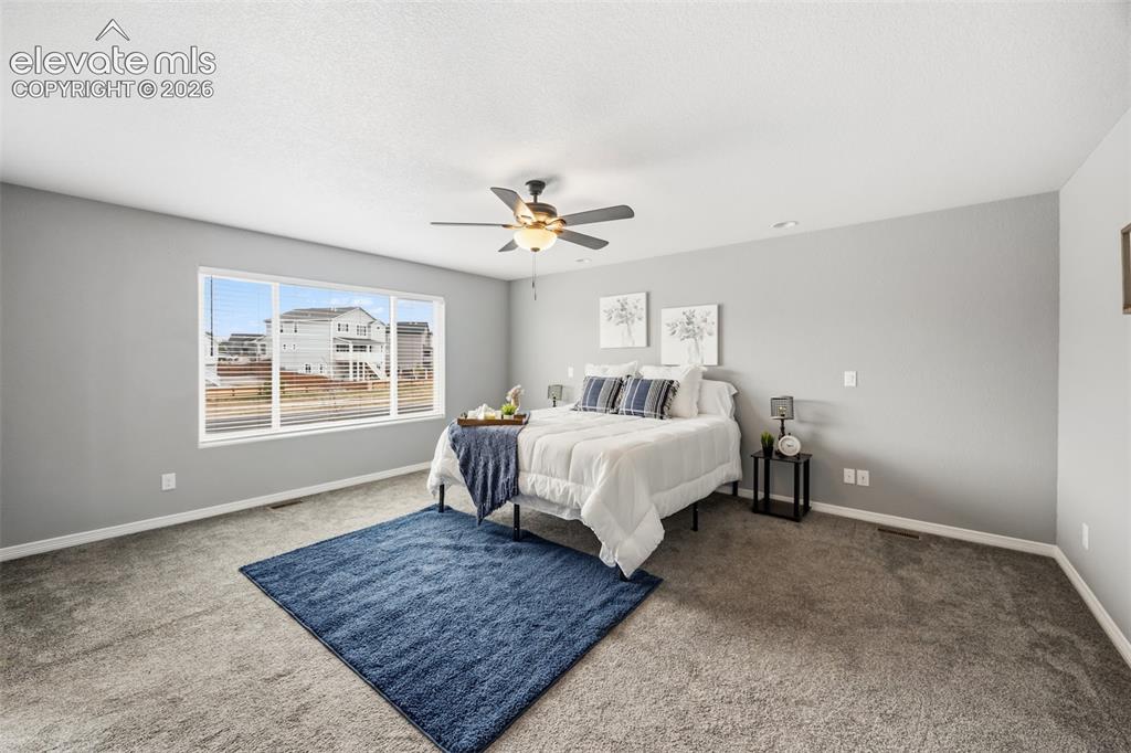 9632 Emerald Vista Drive Peyton CO 80831