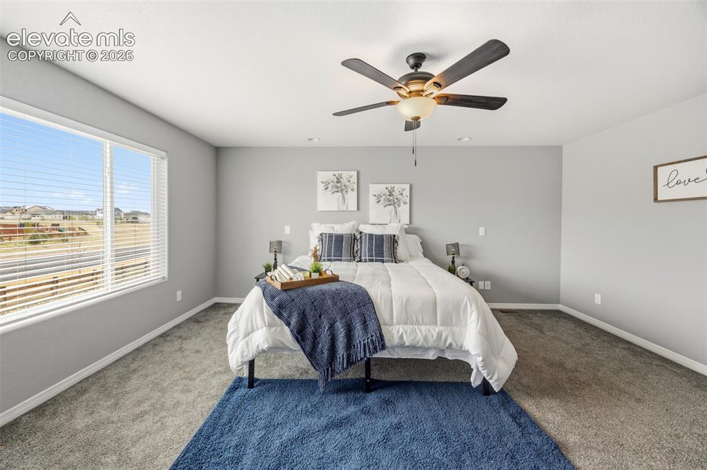 9632 Emerald Vista Drive Peyton CO 80831