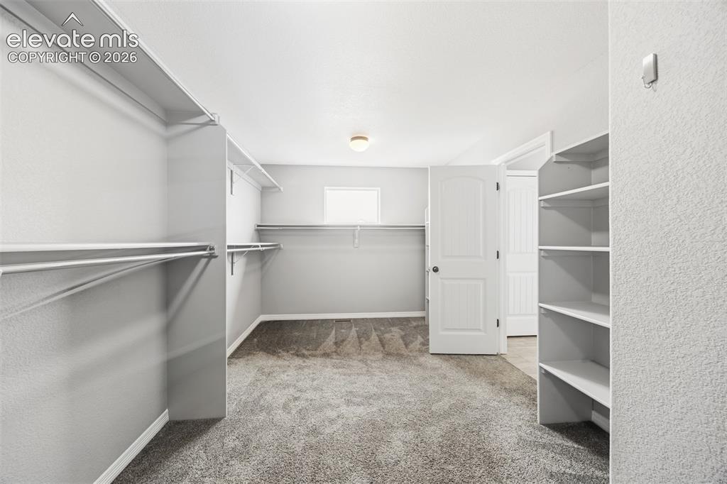 9632 Emerald Vista Drive Peyton CO 80831