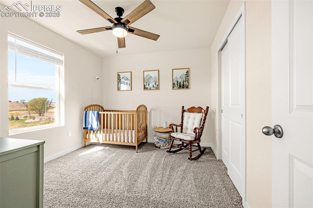 9762 Treasurevault Trail Fountain CO 80817