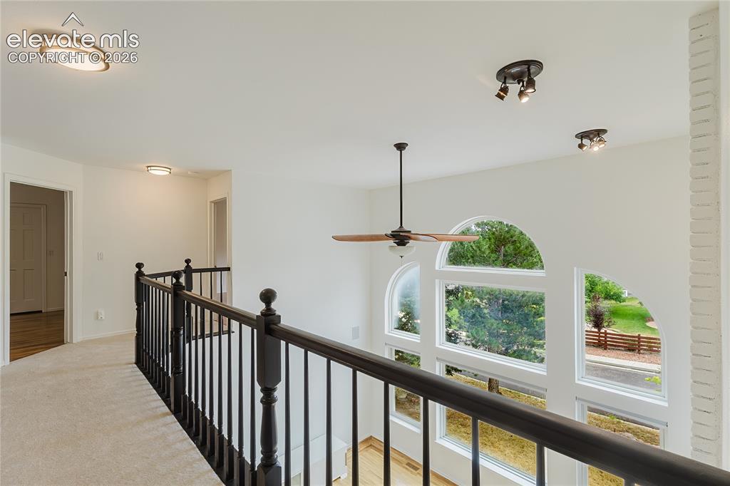 2565 Edenderry Drive Colorado Springs CO 80919