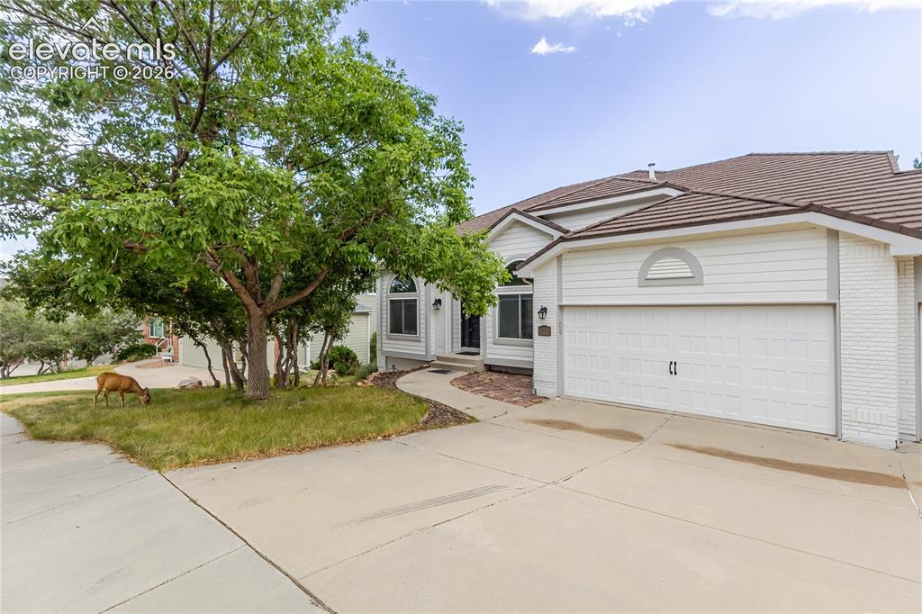 2565 Edenderry Drive Colorado Springs CO 80919