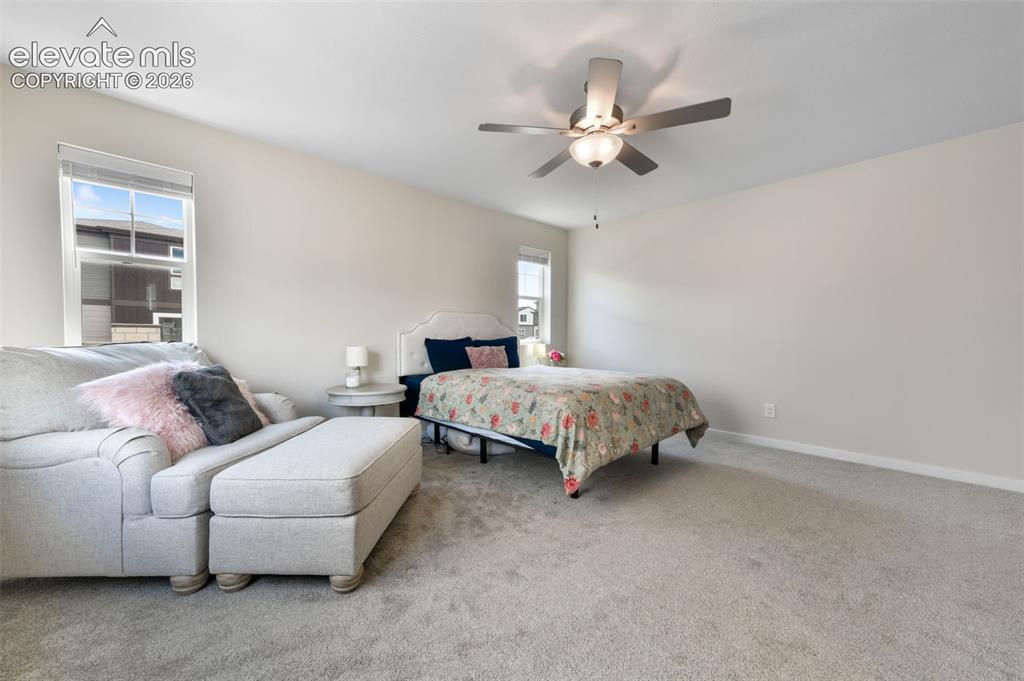 5898 Spring Breeze Drive Colorado Springs CO 80923
