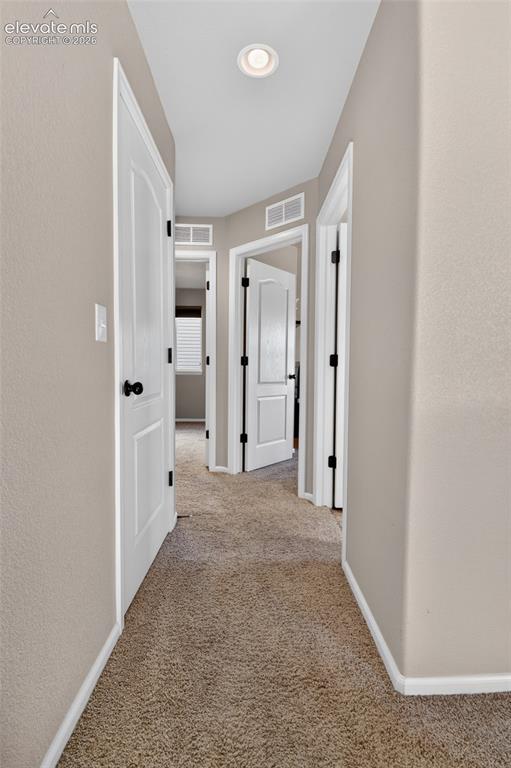 8349 Colorado Spruce Lane Colorado Springs CO 80927