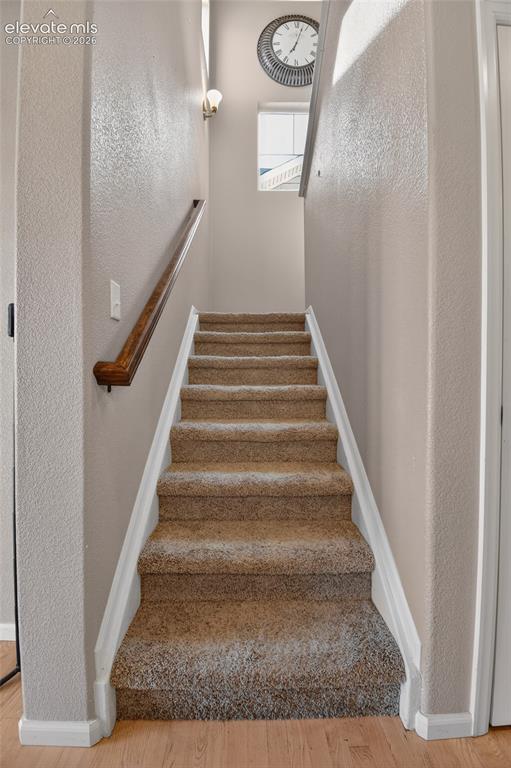 8349 Colorado Spruce Lane Colorado Springs CO 80927