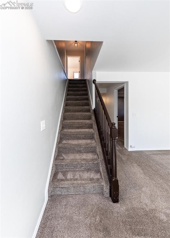 6640 Tin Cup Court Colorado Springs CO 80922