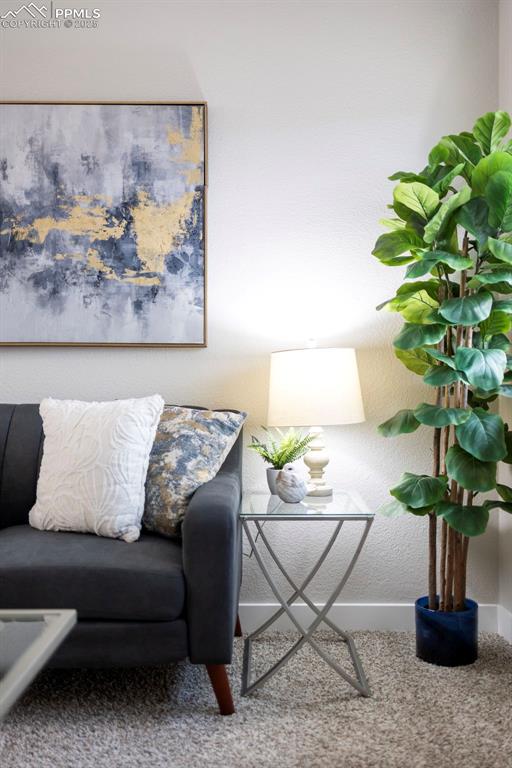 2513 Chimayo Drive Colorado Springs CO 80911