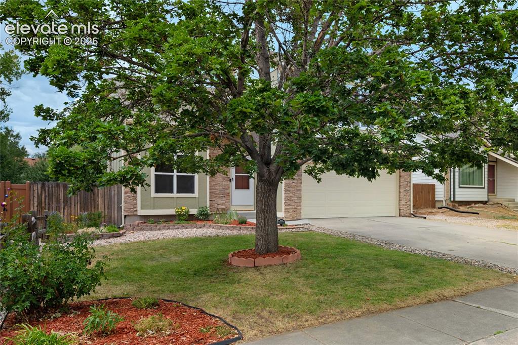 3955 Dolphin Circle Colorado Springs CO 80918
