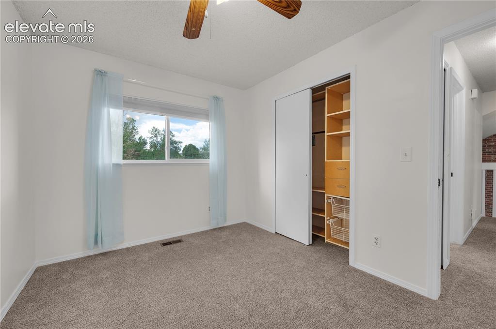 3955 Dolphin Circle Colorado Springs CO 80918