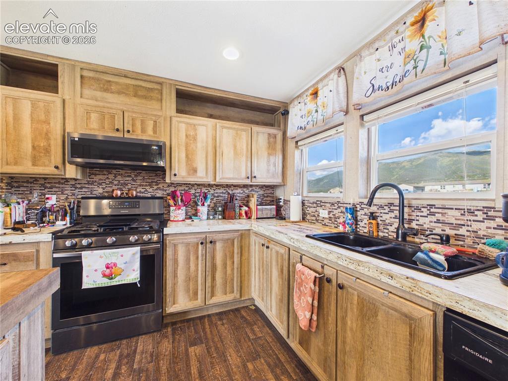 30868 Trent Drive Buena Vista CO 81211