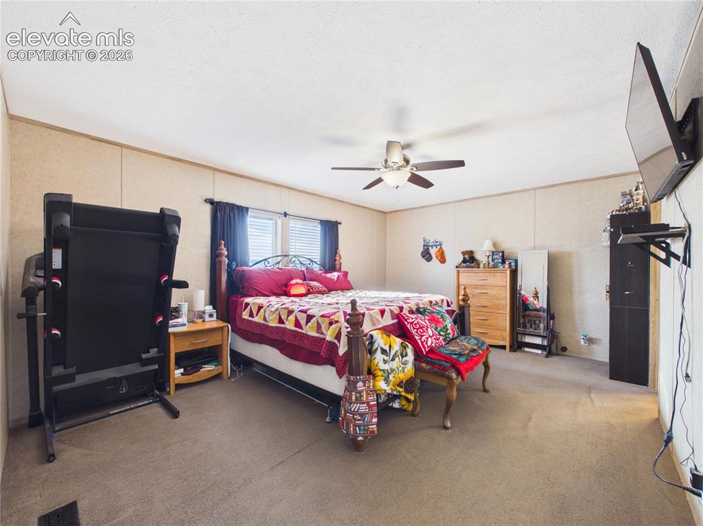 30868 Trent Drive Buena Vista CO 81211