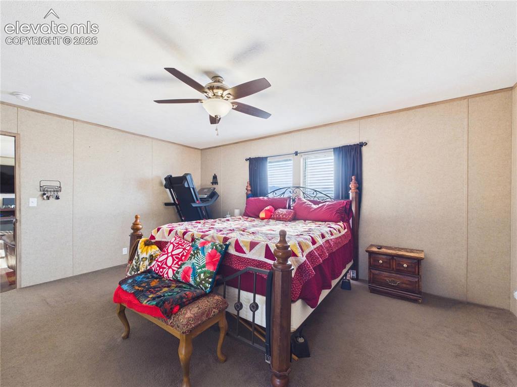 30868 Trent Drive Buena Vista CO 81211