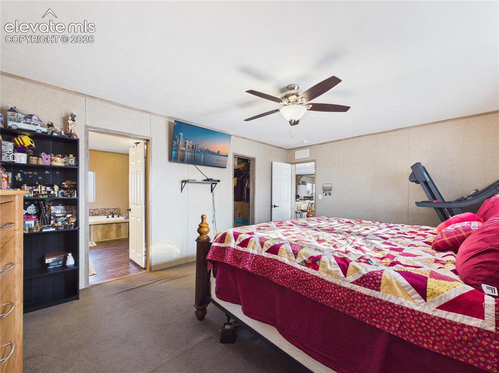 30868 Trent Drive Buena Vista CO 81211