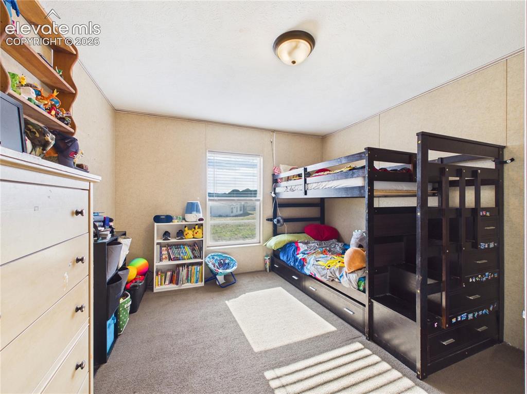 30868 Trent Drive Buena Vista CO 81211