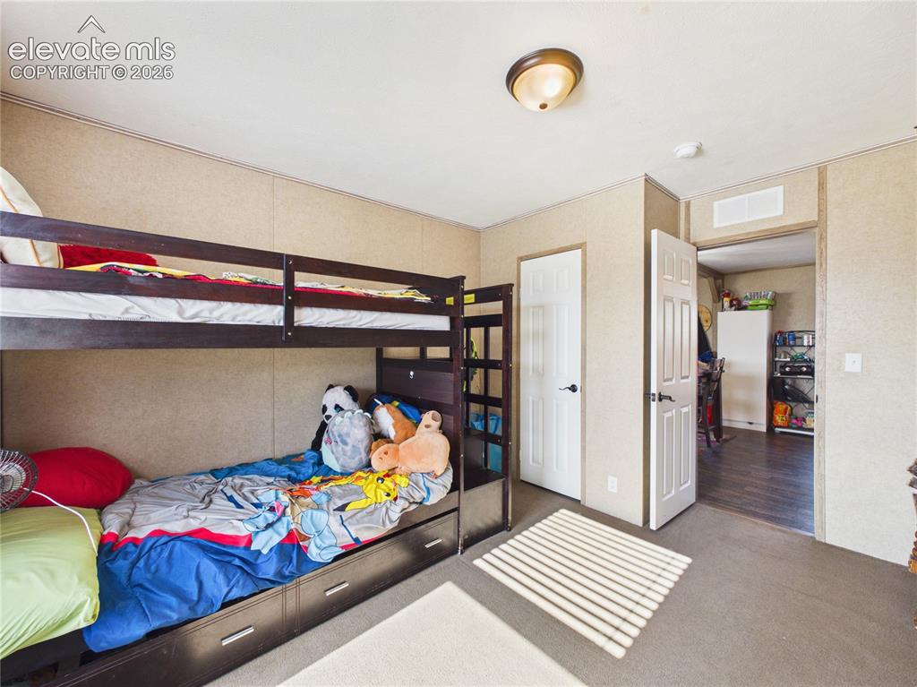 30868 Trent Drive Buena Vista CO 81211