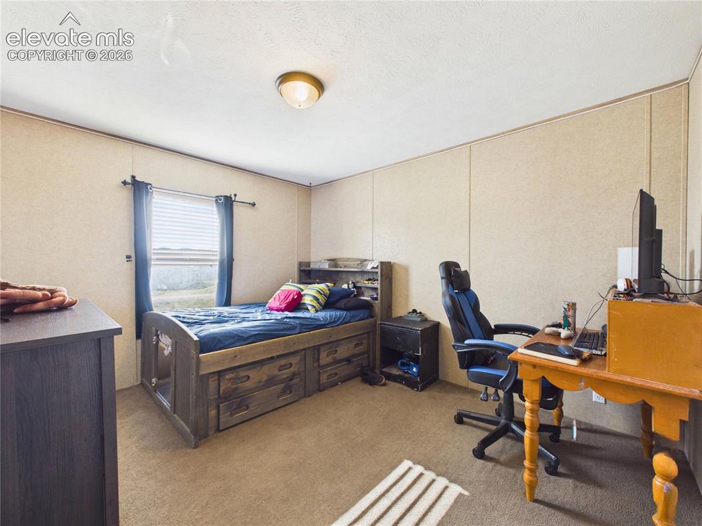 30868 Trent Drive Buena Vista CO 81211